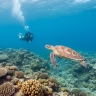 Weh Island: Aceh’s Marine Secret